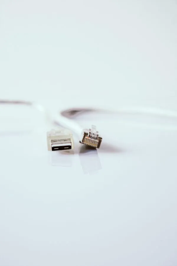 Ethernet-Kabel an einem Netzwerk-Switch